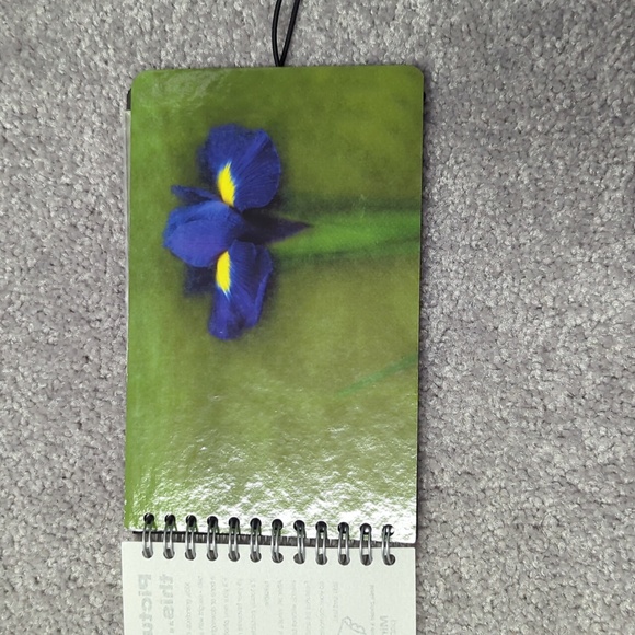 Nwt- DesignerPhoto Album PICTURE THIS! AcidFree Photo Sleeves by Mirage Paper - Picture 5 of 6